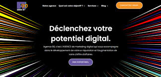 agence de webmarketing