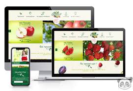agence web e commerce