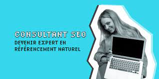 consultant référencement seo