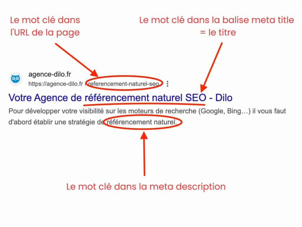 optimiser référencement site